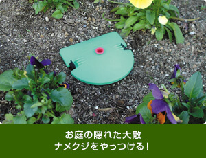 ナメクジ防除サービス