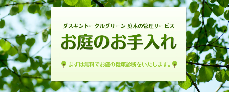 庭木の管理・芝生の手入れ